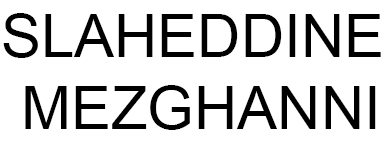 Slaheddine Mezghanni